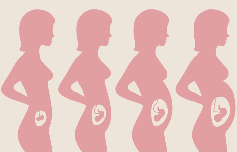 Pregnancy And Its Trimesters