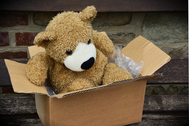 A teddy bear in the box.