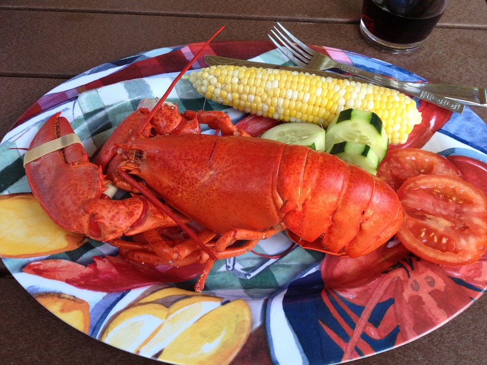 cooked lobster on a plate, served with corn